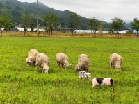 제이제이오토캠핑장