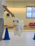 모글리몽