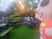 돈뼈락 소노벨청송점