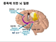 나우누리상담센터