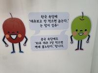 안가네대추빵 부산사직점