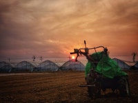 더팸팜 로컬푸드카페 농업회사법인