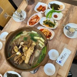 해가빛