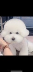 해피하우스