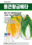 다솔디자인