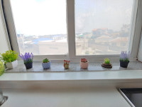 마더하우스민박