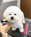멜로우그루밍