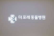 더포레동물병원