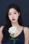 드림워크스튜디오