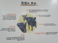 이산흑염소 비래점