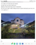 님바래기
