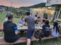 님바래기