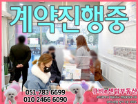 큐비e센텀부동산공인중개사사무소