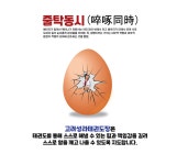 고려성라태권도장