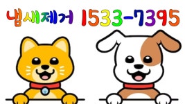 서울 특수청소