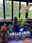 제주옥탑 JEJU BBQ 부천중동점