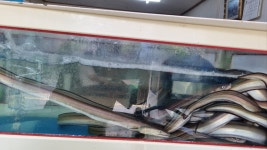 풍전쭈꾸미