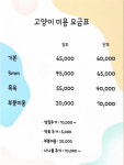 댕냥이살롱