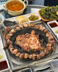 도티막창 성서계대점