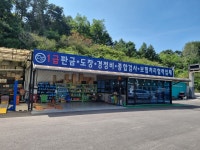 대성모터스