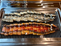 풍천민물장어직판장