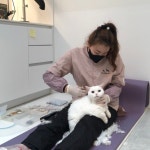 꽃냥 고양이미용실