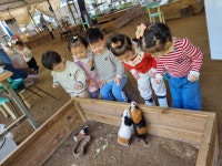 마미키즈스쿨어린이집