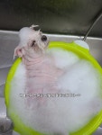 야무지개