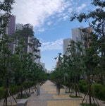 일등부동산중개법인