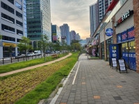 일등부동산중개법인