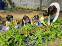 하늘숲어린이집