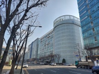 아이비코리아