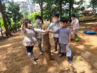 호정숲속어린이집