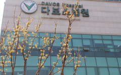 다보스병원