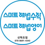스마트해법영어수학 선학초점