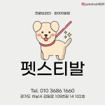 펫스티발