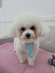 까미랑몽이