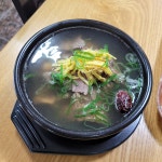 솔아솔아