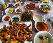 차씨집