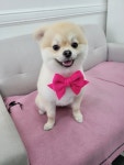 까미랑몽이