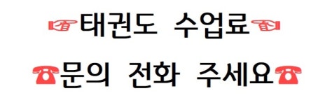 정진이태백익스트림태권도장