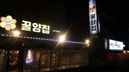꿀양집