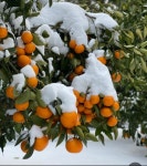 대신부동산공인중개사사무소