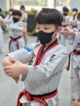 용화태권도