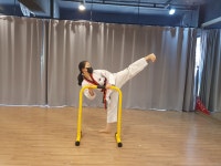 이화태권도 멀티짐