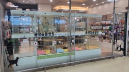 쿨펫동물병원 롯데마트안성점