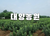 대양농원