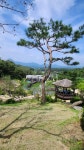 더 포레 1947