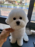 그루밍