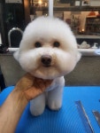 그루밍